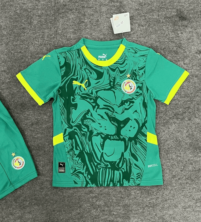 Sénégal maillot extérieur 24/25